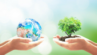 How the Earth is Helping us Understand Hearing Loss